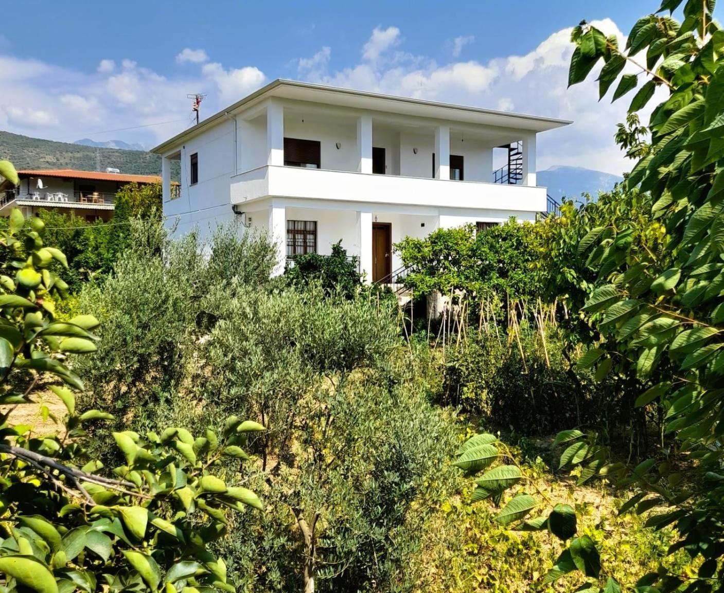 Villa Besart Berat Exteriér fotografie